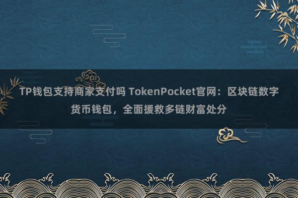 TP钱包支持商家支付吗 TokenPocket官网：区块链数字货币钱包，全面援救多链财富处分