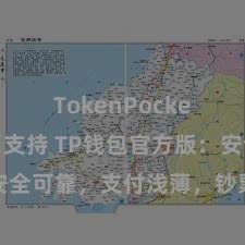 TokenPocket稳定币支持 TP钱包官方版：安全可靠，支付浅薄，钞票惩办更省心